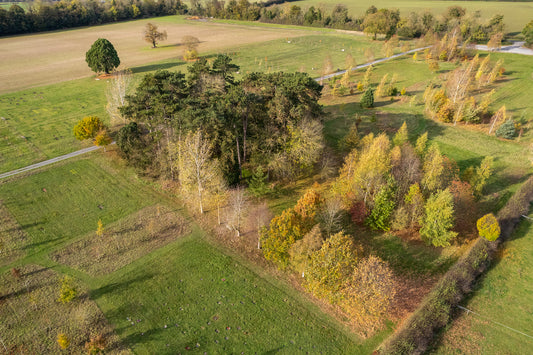 photo of natural burial ground from above