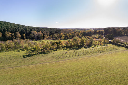natural burial ground from above