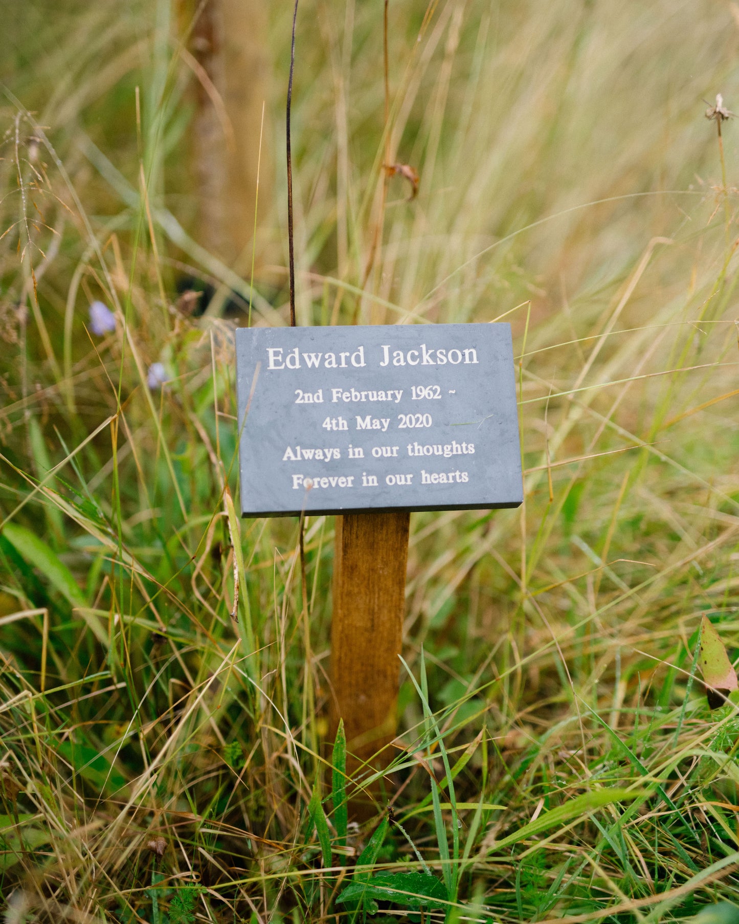 Memorial tree
without burial