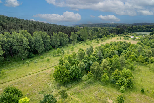 The Trees of Tithe Green Natural Burial