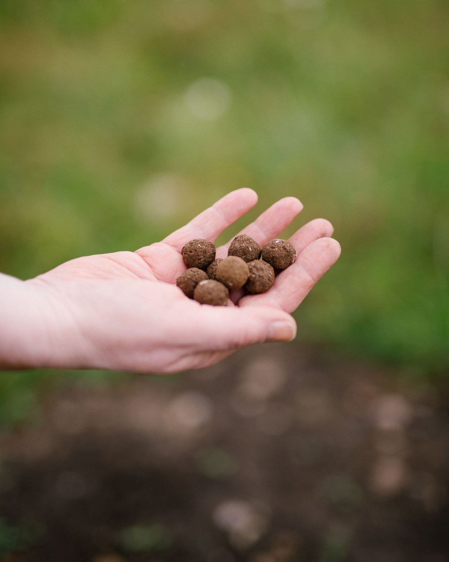 Wildflower seed balls